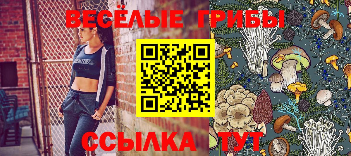 Псилоцибиновые грибы мицелий Сургут