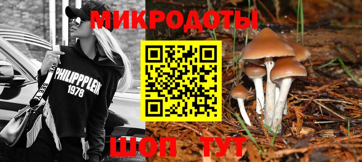 Сургут  Галлюциногенные грибы мицелий  Псилоцибиновые грибы Psilocybe  Вход с VPN 